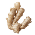 Ginger Root